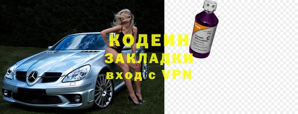 ПСИЛОЦИБИНОВЫЕ ГРИБЫ Осинники