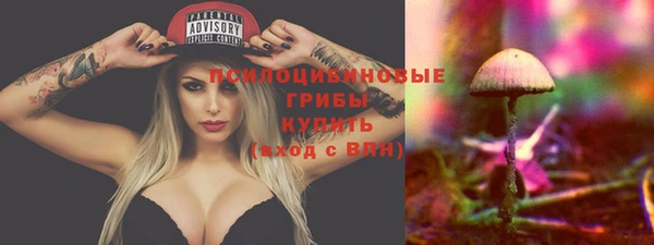 ПСИЛОЦИБИНОВЫЕ ГРИБЫ Осинники