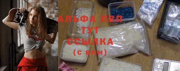 гидра Пересвет