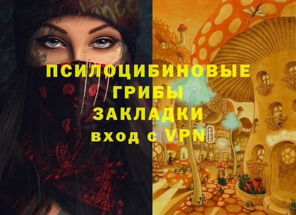 ПСИЛОЦИБИНОВЫЕ ГРИБЫ Осинники