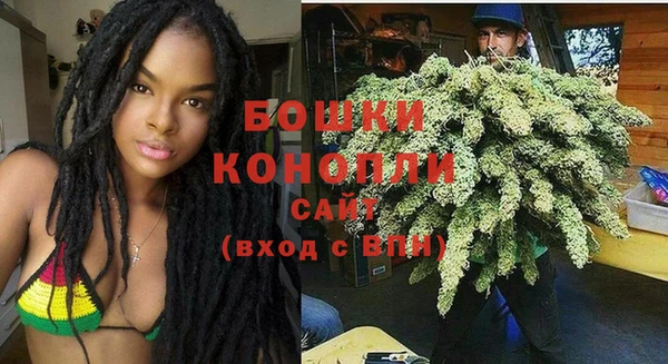 ПСИЛОЦИБИНОВЫЕ ГРИБЫ Осинники