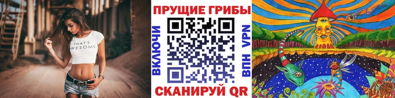магазин    Боровск  Псилоцибиновые грибы GOLDEN TEACHER 